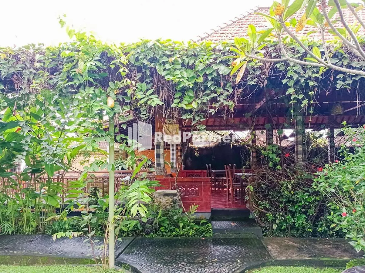 Nando House Apartment Ubud  Indonesia